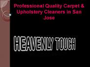 Carpet Cleaners in San Jose CA Clean Area Rugs