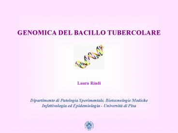 Presentazione di PowerPoint