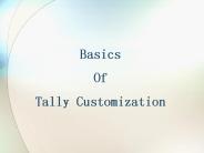 basic of tally customization