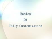 Basic of Tally Customization