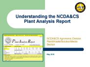 Understanding the NCDA
