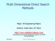 Multi Dimensional Direct Search Methods