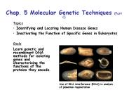 Chap. 5 Molecular Genetic Techniques (Part C)