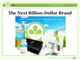 The Next Billion-Dollar Brand PowerPoint PPT Presentation