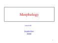 Morphology PowerPoint PPT Presentation
