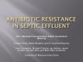 Antibiotic Resistance in Septic Effluent PowerPoint PPT Presentation