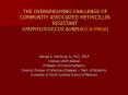 THE OVERWHELMING CHALLENGE OF COMMUNITY ASSOCIATED METHICILLIN RESISTANT STAPHYLOCOCCUS AUREUS (CA-MRSA) PowerPoint PPT Presentation