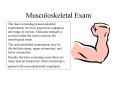 Musculoskeletal Exam PowerPoint PPT Presentation