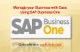 Manage your Business with Ease Using SAP Business One