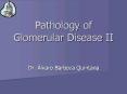 Pathology of Glomerular Disease II PowerPoint PPT Presentation