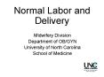 Normal Labor and Delivery PowerPoint PPT Presentation