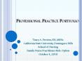 Professional Practice Portfolio PowerPoint PPT Presentation