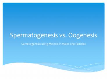 Spermatogenesis vs. Oogenesis