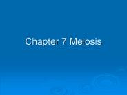 Chapter%207%20Meiosis