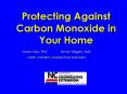 Protecting Against Carbon Monoxide in Your Home PowerPoint PPT Presentation