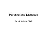 Parasite and Diseases
