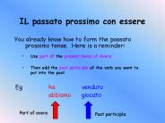 IL passato prossimo con essere