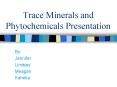 Trace Minerals and Phytochemicals Presentation PowerPoint PPT Presentation