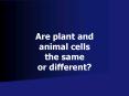 Are plant and animal cells the same or different? PowerPoint PPT Presentation