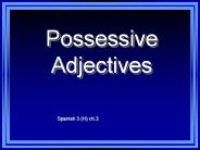 Possessive Adjectives