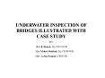 UNDERWATER INSPECTION OF BRIDGES ILLUSTRATED WITH CASE STUDY PowerPoint PPT Presentation
