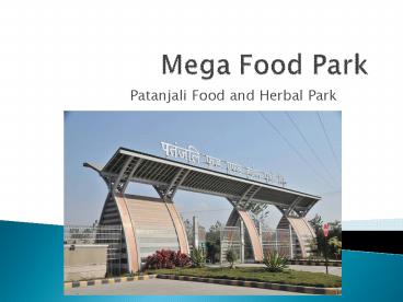 Patanjali Food and Herbal Park