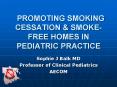 PROMOTING SMOKING CESSATION PowerPoint PPT Presentation