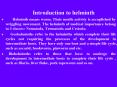 Introduction to helminth PowerPoint PPT Presentation