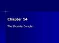 The Shoulder Complex PowerPoint PPT Presentation