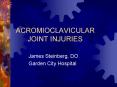 ACROMIOCLAVICULAR    JOINT INJURIES PowerPoint PPT Presentation