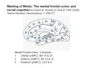 Meeting of Minds: The medial frontal cortex and social cognition by David M. Amodio PowerPoint PPT Presentation