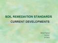 SOIL REMEDIATION STANDARDS PowerPoint PPT Presentation