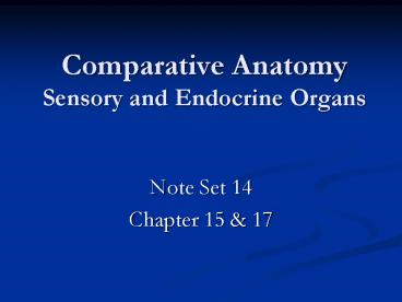 Comparative Anatomy Sensory and Endocrine Organs