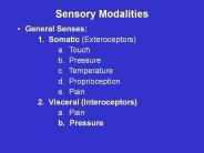 Sensory Modalities