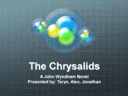 The Chrysalids
