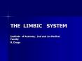 THE LIMBIC  SYSTEM PowerPoint PPT Presentation