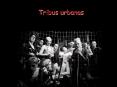Tribus urbanas PowerPoint PPT Presentation