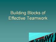 Building Blocks of Effective Teamwork