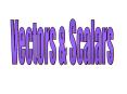 Vectors PowerPoint PPT Presentation