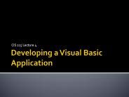 Developing a Visual Basic Application
