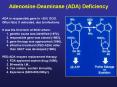 Adenosine-Deaminase (ADA) Deficiency PowerPoint PPT Presentation
