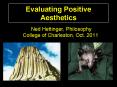 Evaluating Positive Aesthetics PowerPoint PPT Presentation