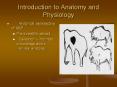 Introduction to Anatomy and Physiology PowerPoint PPT Presentation