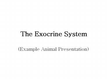 presentation player overlay