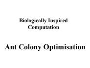 Biologically Inspired Computation
