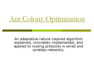 Ant Colony Optimization