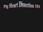 Heart Dissection 101