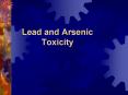 Lead and Arsenic Toxicity PowerPoint PPT Presentation