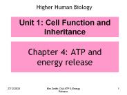 Chapter 4: ATP and energy release