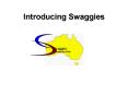 Introducing Swaggies PowerPoint PPT Presentation